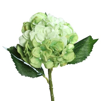 Plastic Hydrangea Pulsar