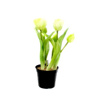 Tulipe en Plastique Simon/Bourgeon/Fleur