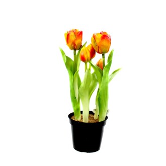 Tulipe en Plastique Simon/Bourgeon/Fleur
