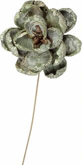 Fleur Montée Pradeep Flower Frosted