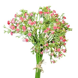Bouquet de Gypsophiles en Plastique Viette