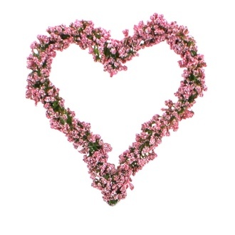 Plastic Gypso Heart Marry