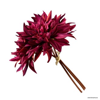 Kunststoff Dahlienbund Nadine