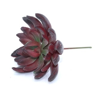 Plastic Echeveria Riva