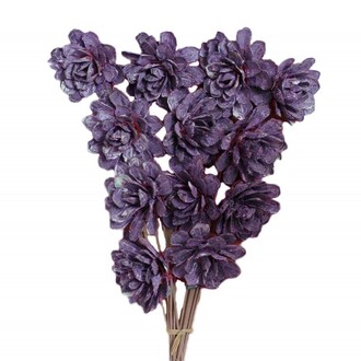 Fleur Montée Pinose, Givré