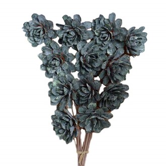 Montierte Blüte Pinerose, Frosted