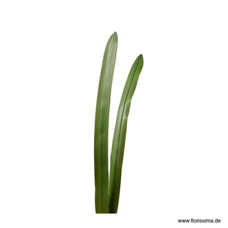 Kunststoff Schwertblatt Flora