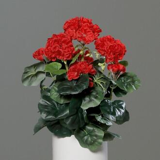 Kunststoff Geranie Resi