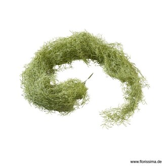 Plastic Tillandsia Hanger Powder/Flori