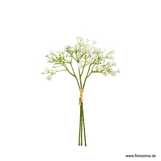 Kunststoff Gypsopick Tina