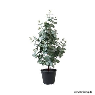 Kunststoff Baum Eukalyptus/Flora