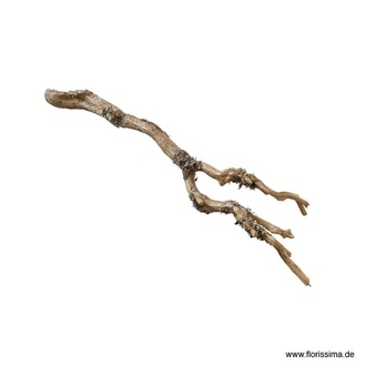 Kunststoff Zweig Natura/Flechte
