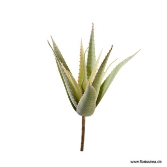 Kunststoff Aloebusch Algarve