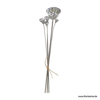 Kunststoff Lotoskolbenbund Siam/Mix