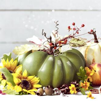 Serviette Citrouille/Tournesol