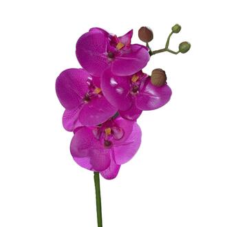 Kunststoff Phalaenopsis Natural