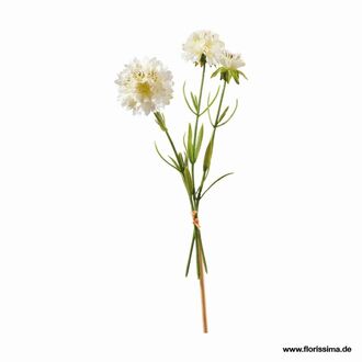 Kunststoff Scabiosabund Flora
