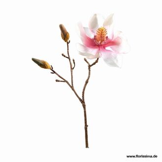 Kunststoff Magnolie Tina