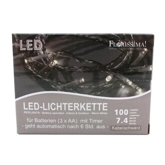 LED Lichterkette Flori/Rice