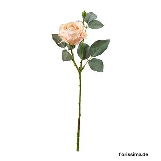 Kunststoff Rose Aurora