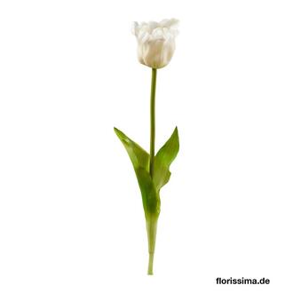 Kunststoff Tulpe Papagei