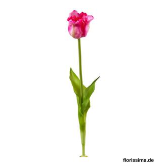 Kunststoff Tulpe Papagei