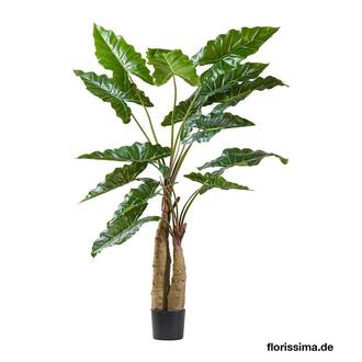Plastic Alocasia Plant Peter