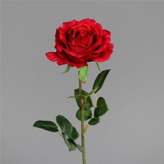 Plastic Rose Coco