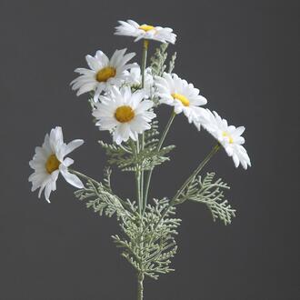 Marguerite en Plastique Leni