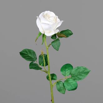 Rose en Plastique Mia