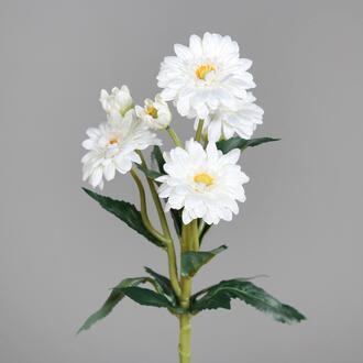 Kunststoff Gerberapick Hannah