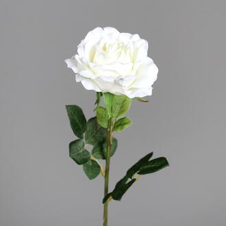 Rose en Plastique Coco