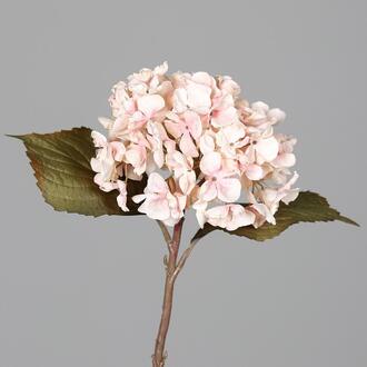 Plastic Hydrangea Dry Look