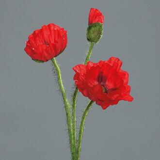 Coquelicot en Plastique Osman
