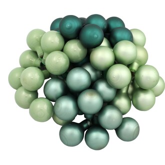 Mélange de Sauge et de Baies de Verre