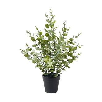 Kunststoff Eukalyptus Tasmania