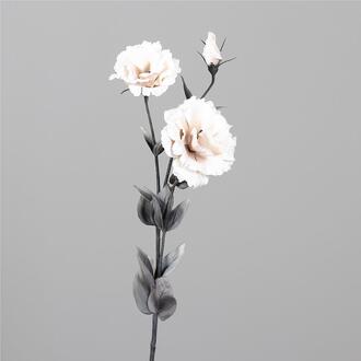 Branche de Lysianthus en Plastique Lübeck