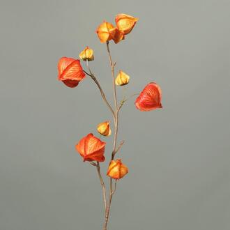 Branche de Physalis Plastique Solana