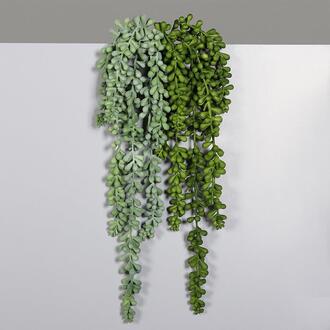 Plastic Succulent Hanger Pepino