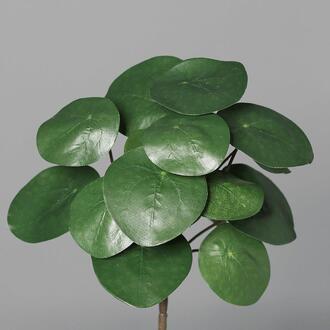 Kunststoff Busch Pilea peperomioides