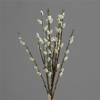 Kunststoff Weidekätzchenbund Lina