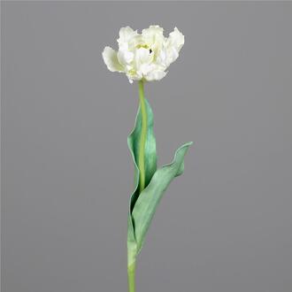 Franges de Tulipes en Plastique