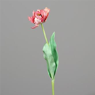 Franges de Tulipes en Plastique