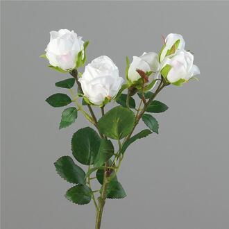 Kunststoff Rosenzweig Mini