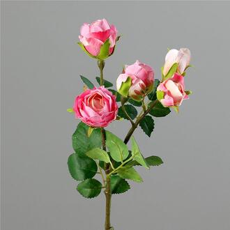 Kunststoff Rosenzweig Mini