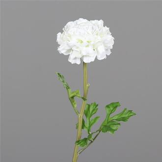 Renoncule Luna en Plastique