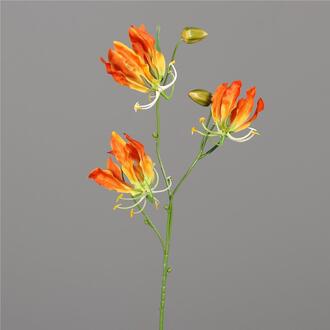 Kunststoff Gloriosa Jeanette