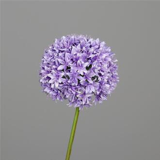 Allium Celeste en Plastique