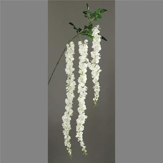 Kunststoff Wisteria Colette