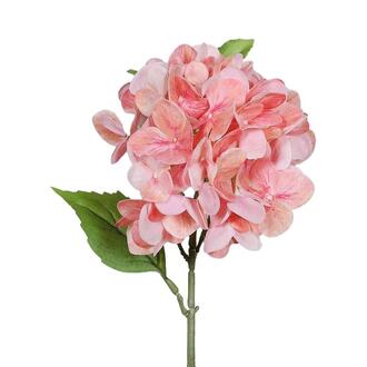 Plastic Hydrangea Natural Touch